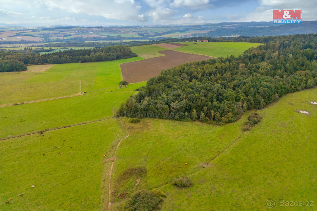 Prodej louky, 5715 m², Spálené Poříčí - Struhaře