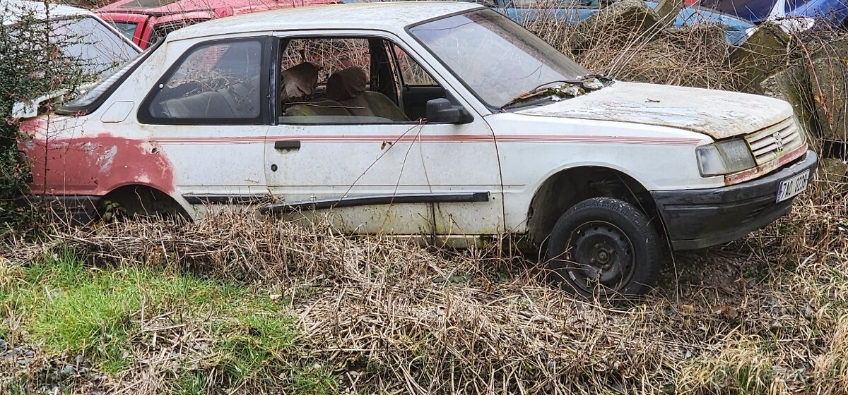 Peugeot  309