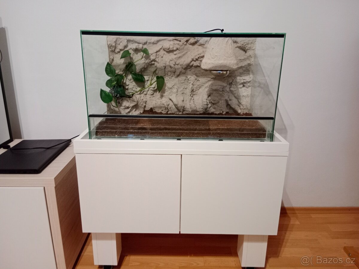 Terárium