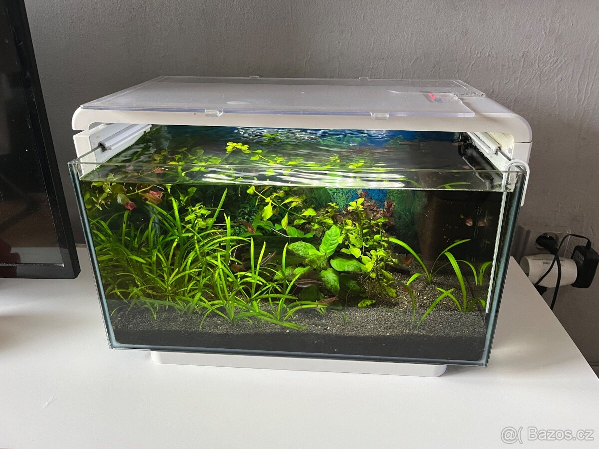 Prodam akvarium