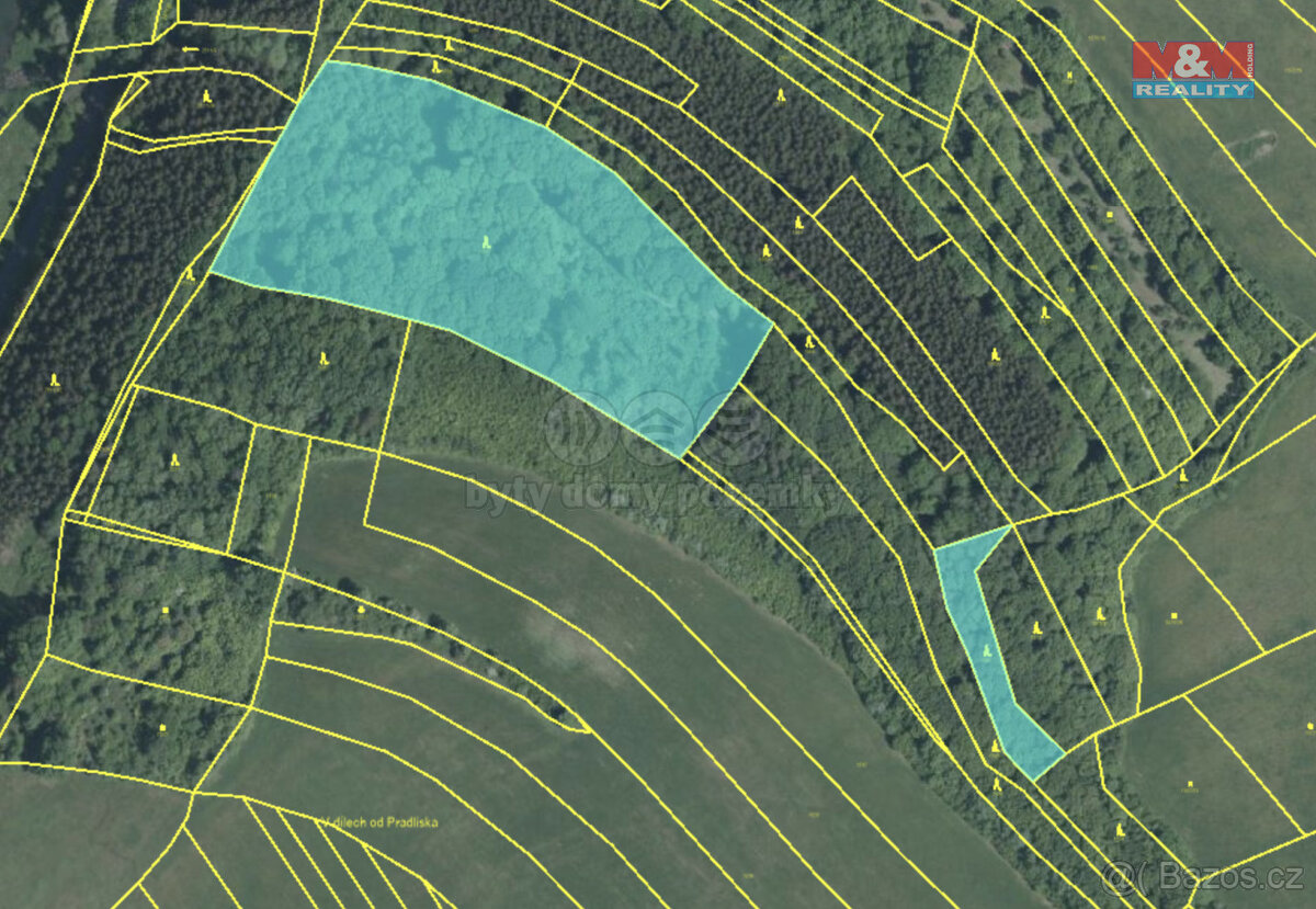 Prodej lesa, 19200 m², Ludkovice