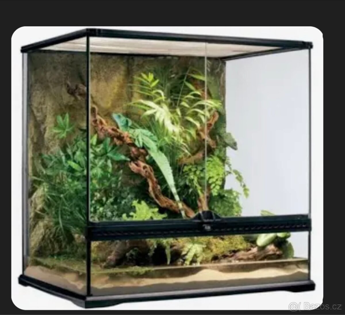 Terarium včetně pozadí