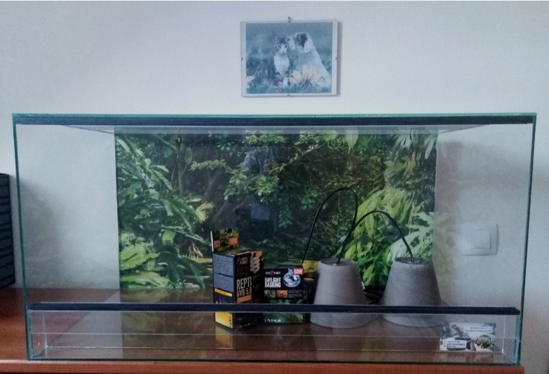 Terarium nové 80x40x40.Síla skla 5 mm .Polyuretanové pozadí