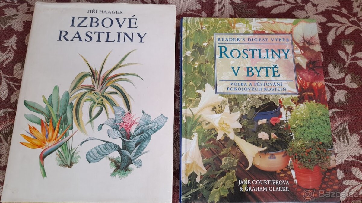 Rostliny v bytě, Izbové rastliny(slovensky)