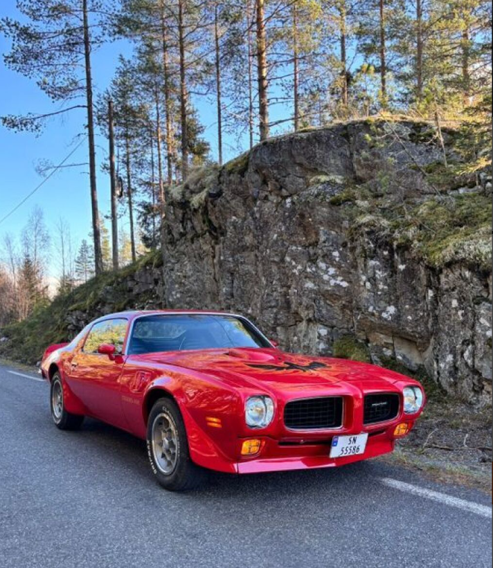 Pontiac Trans Am 455 rv:1973 7.5l bigblock V8