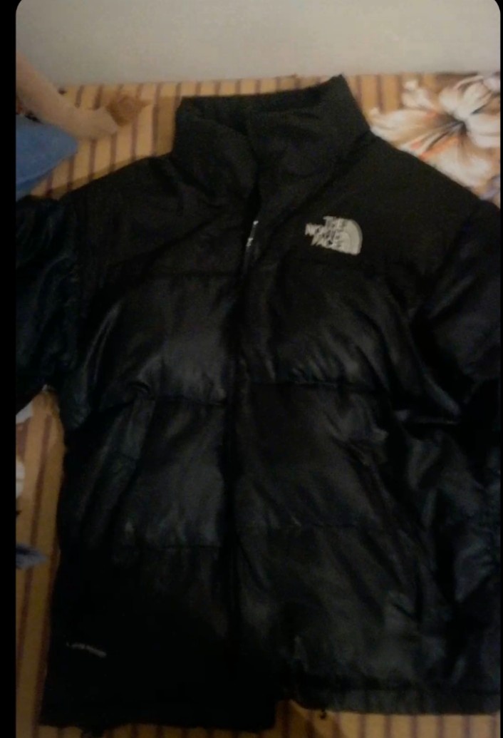 Bunda the north face