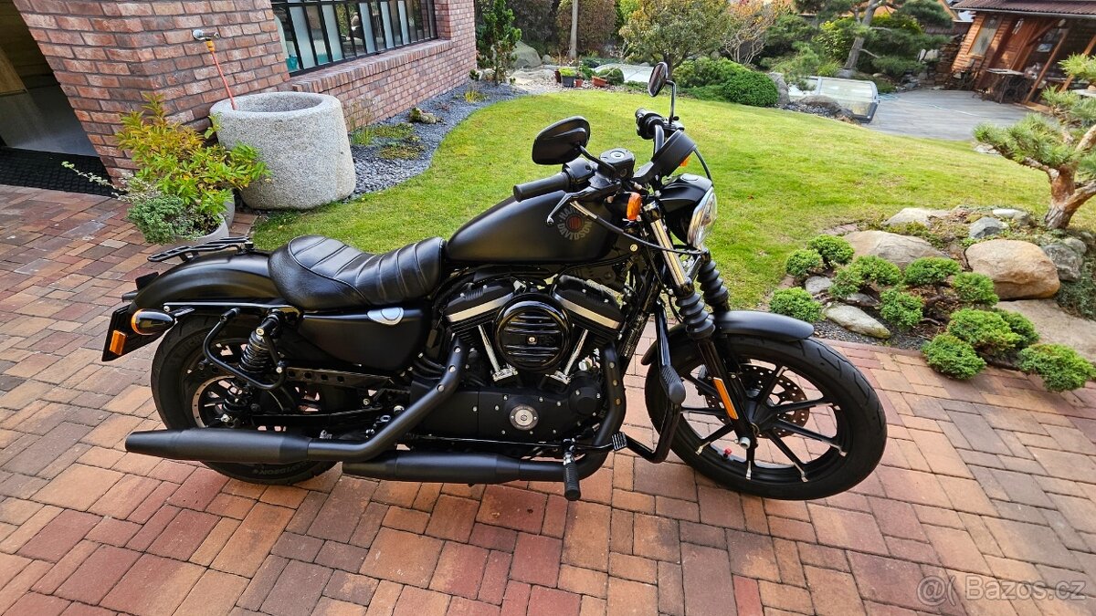 Harley Davidson 883 iron sportster