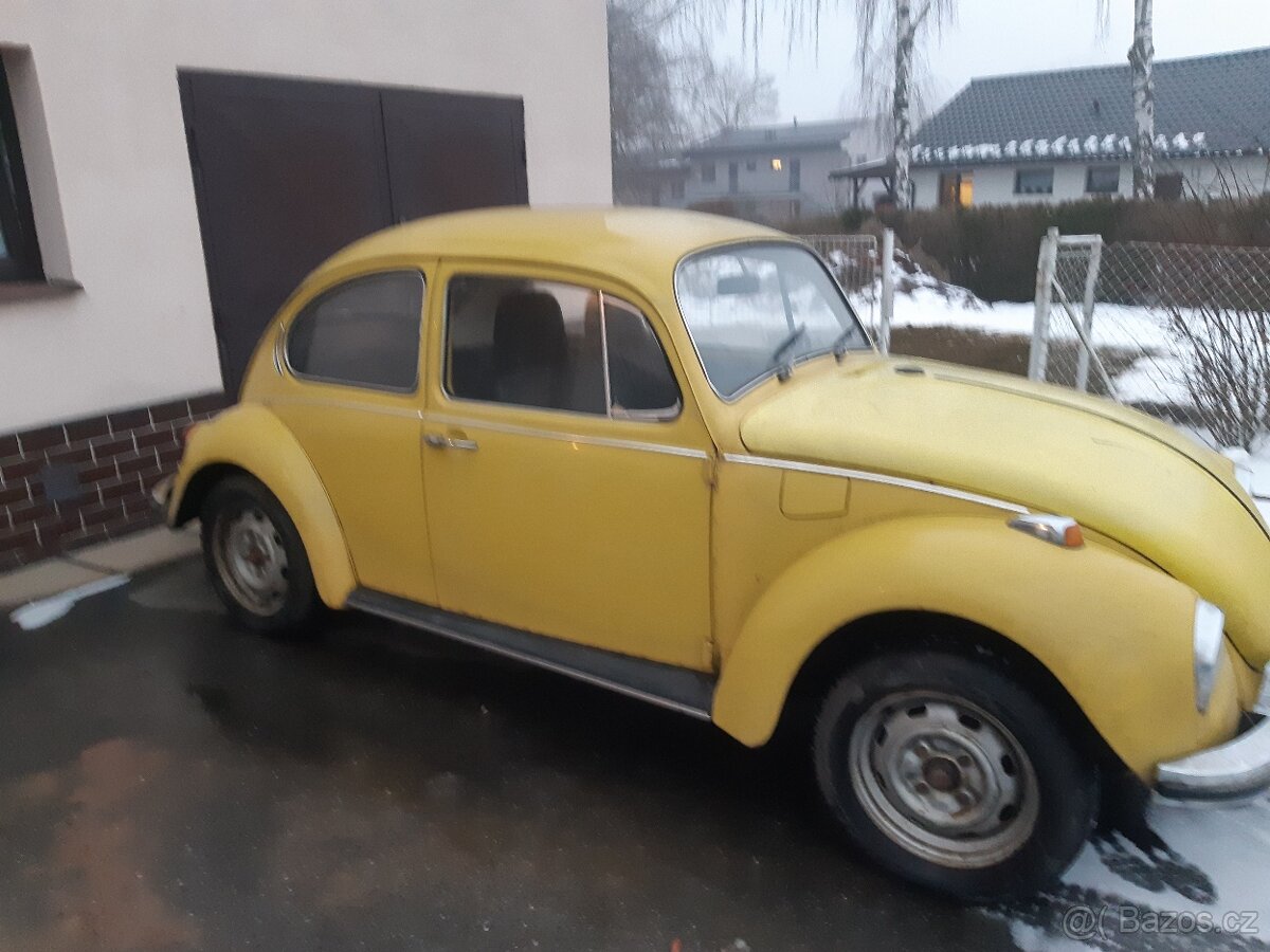 Vw brouk