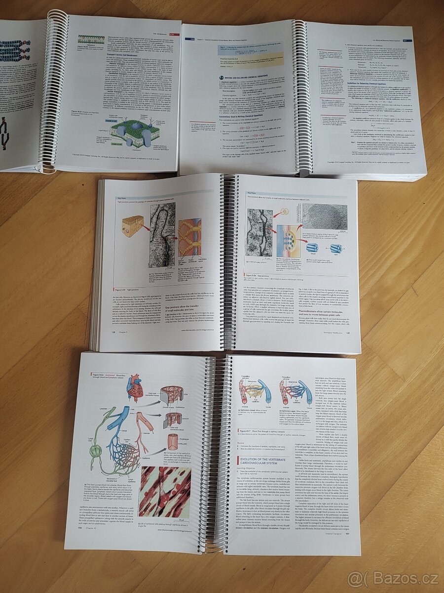 Biologie a biochemie pro medicinuba