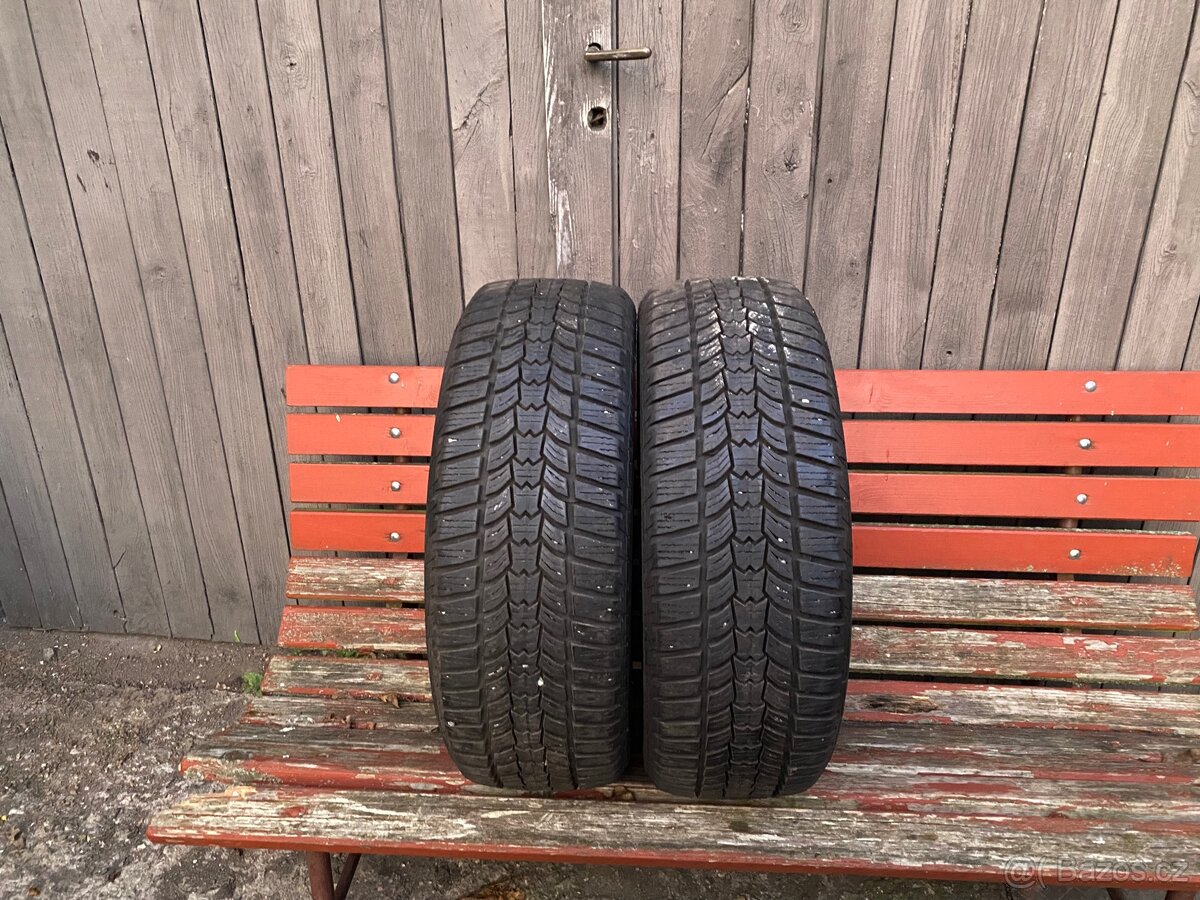 2x zimní pneu Sava 195/55 R16