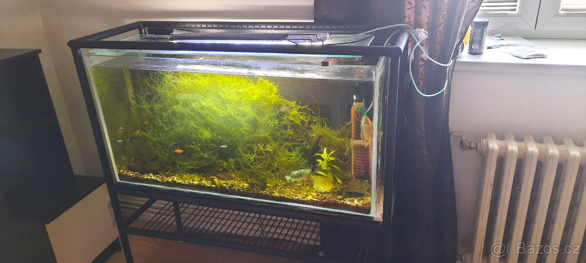 akvarium