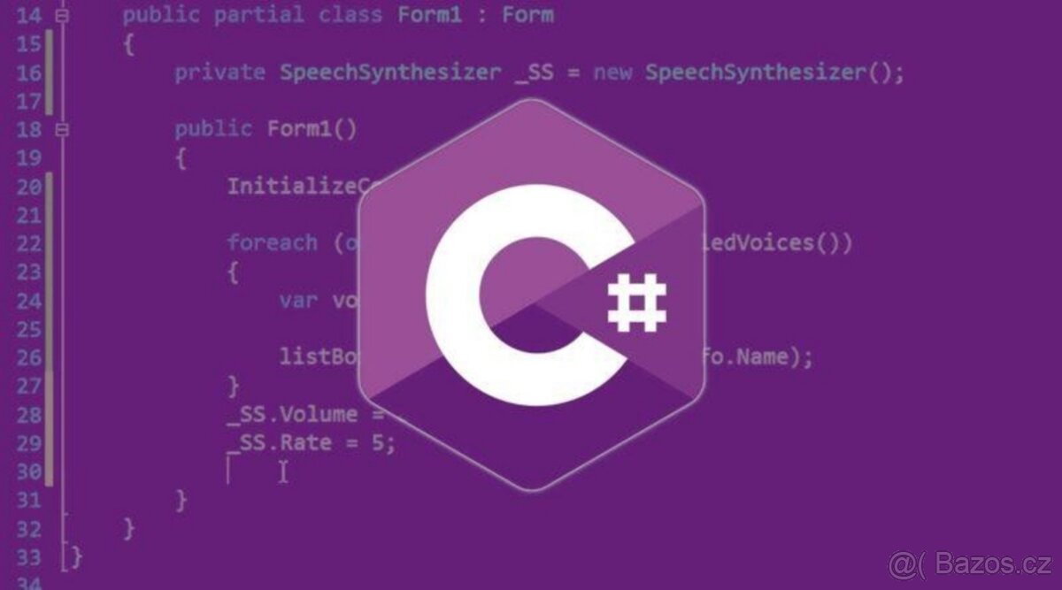 Programování .NET, C#, React JS