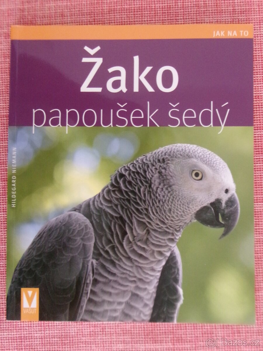 Žako papoušek šedý.