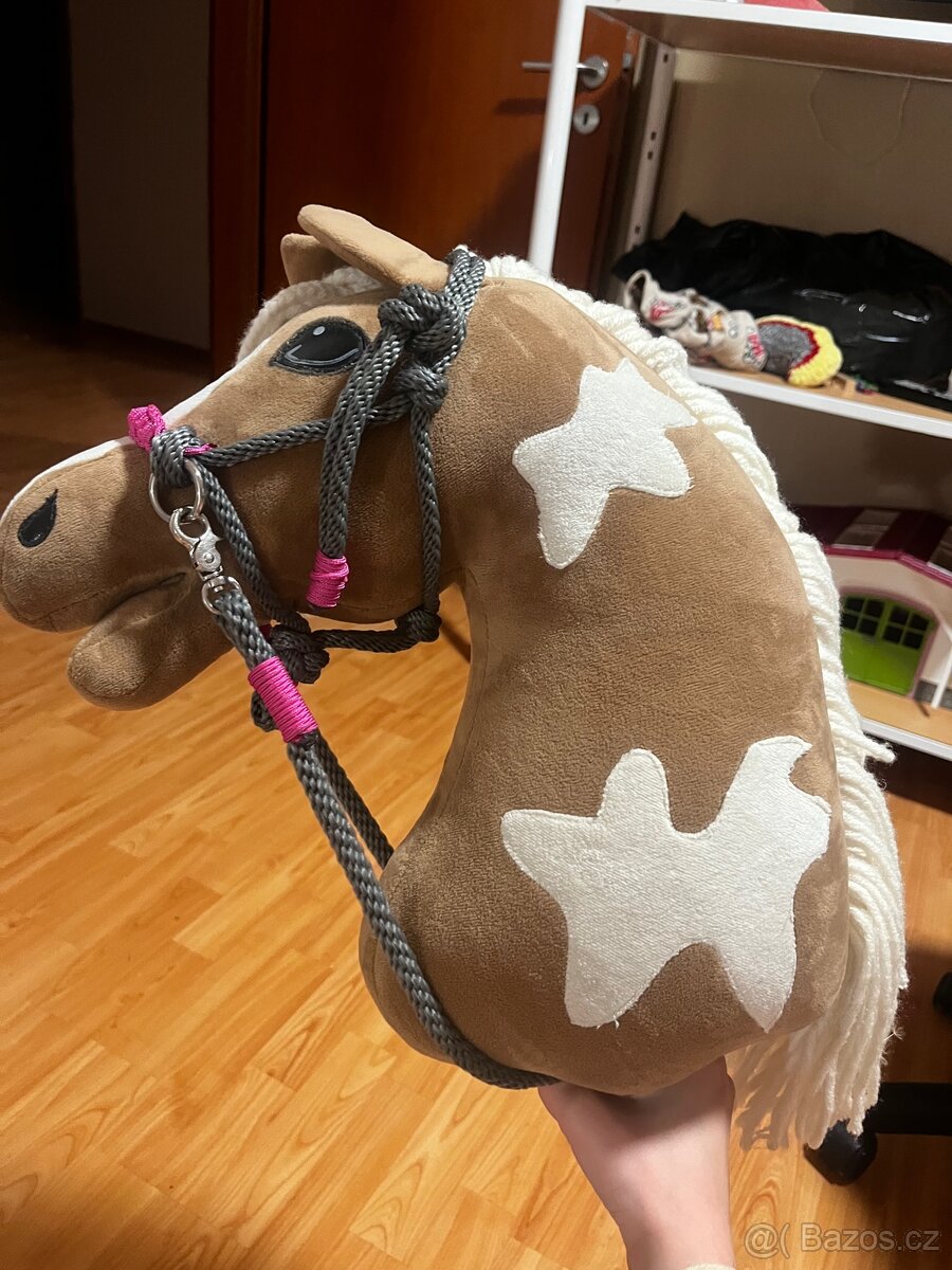 Hobby horse