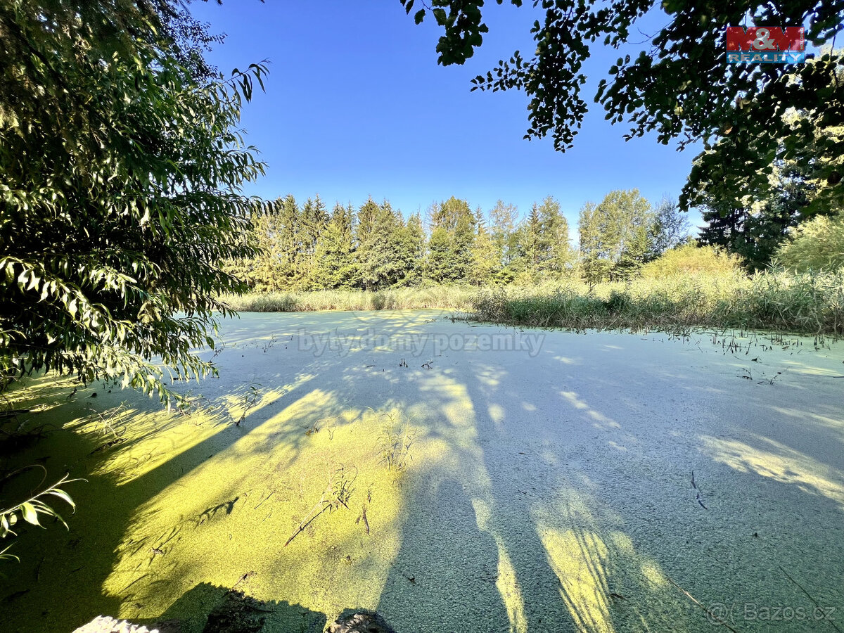 Prodej vodní plochy, 5965 m², Rychnov nad Kněžnou