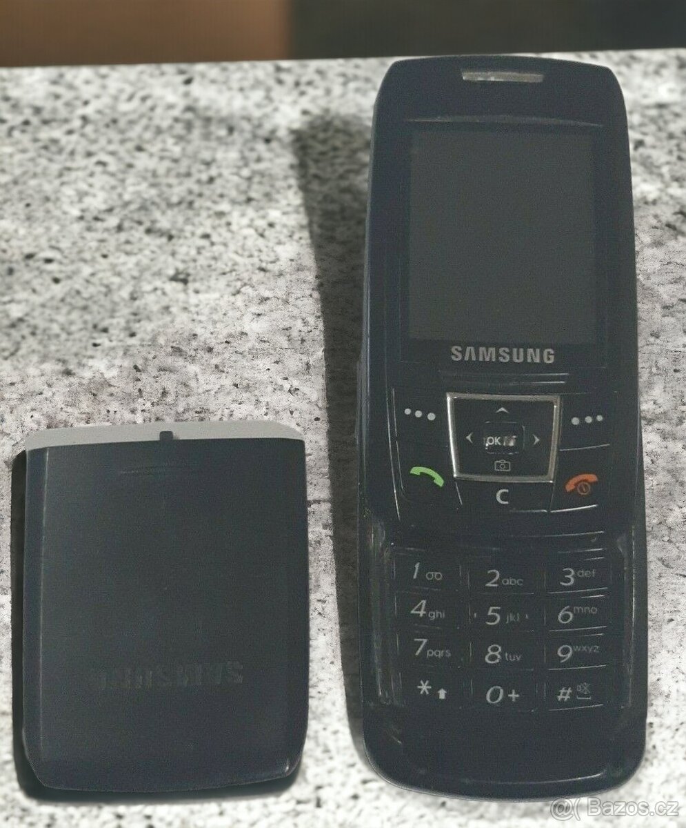 SAMSUNG SGH-E250