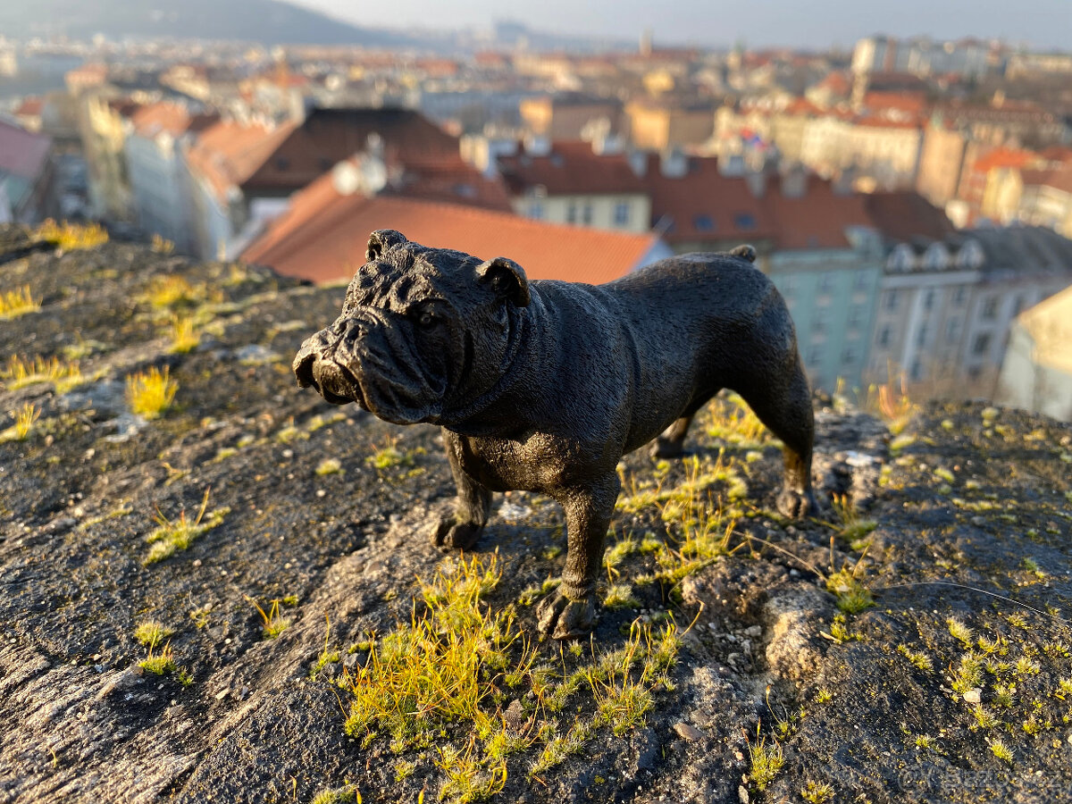 Bronzová socha anglického buldoka malá figurka