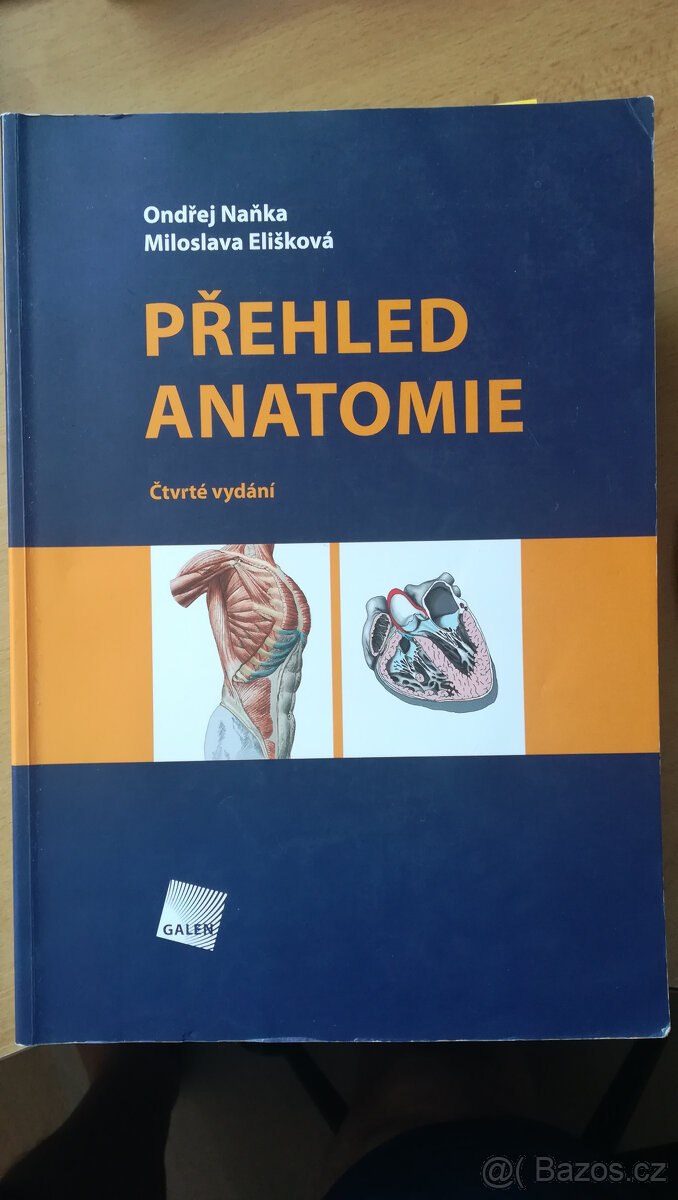 PŘEHLED ANATOMIE