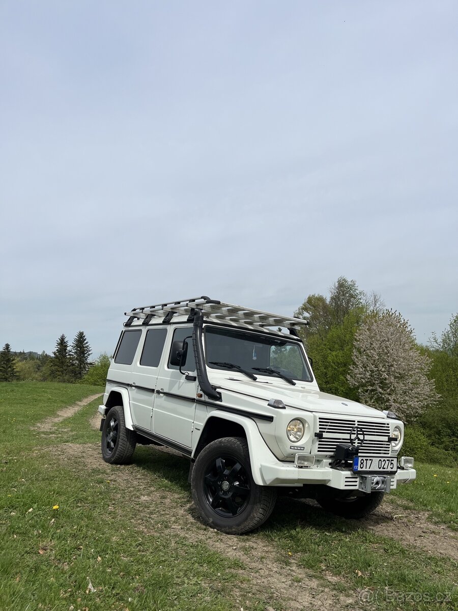 Mercedes Benz G 300 cdi Professional