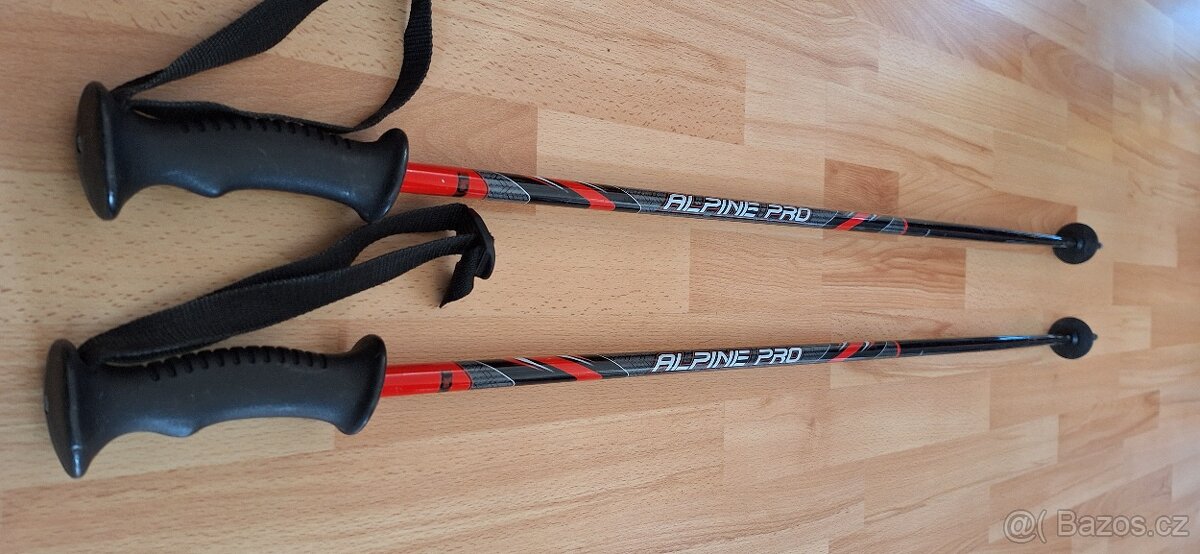 Lyžařské hole ALPINE PRO 110 cm