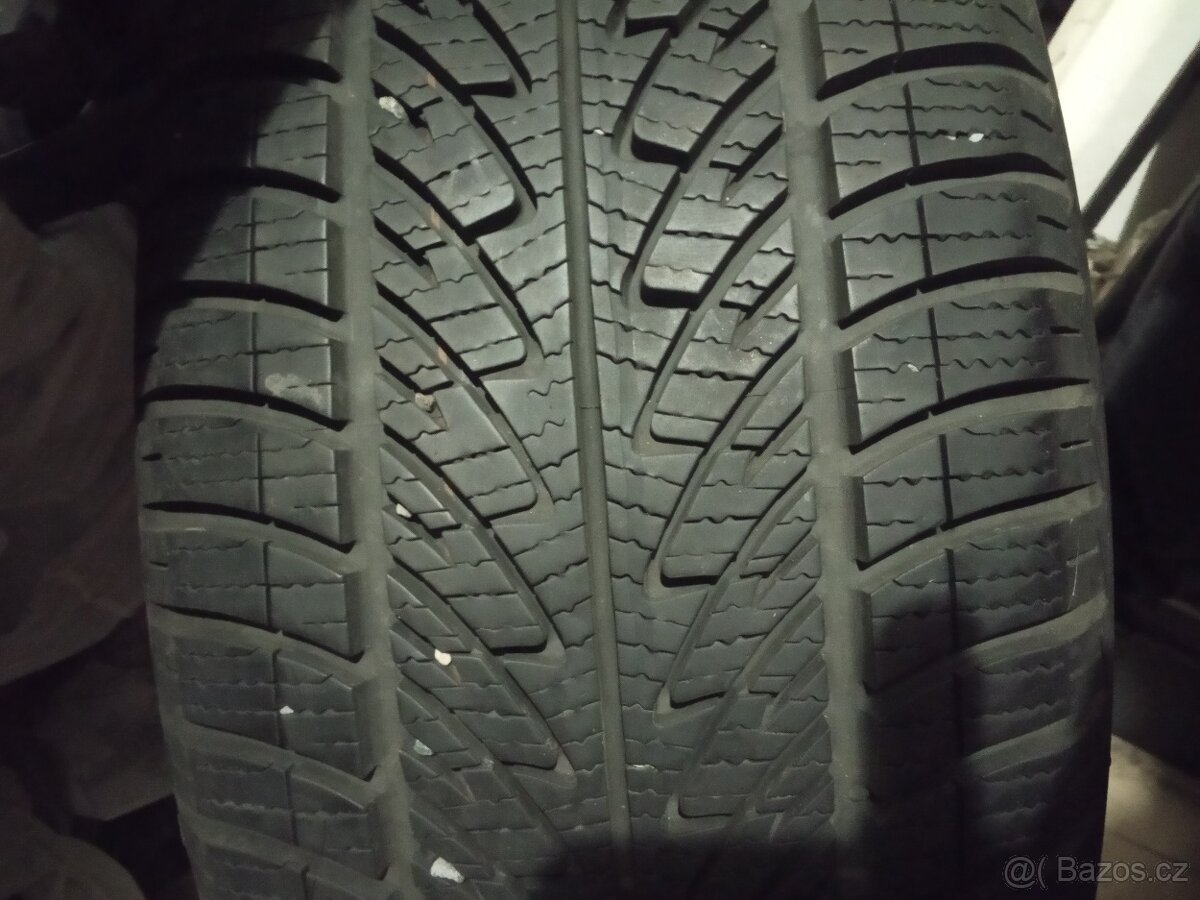 Zimní 225/50 R17