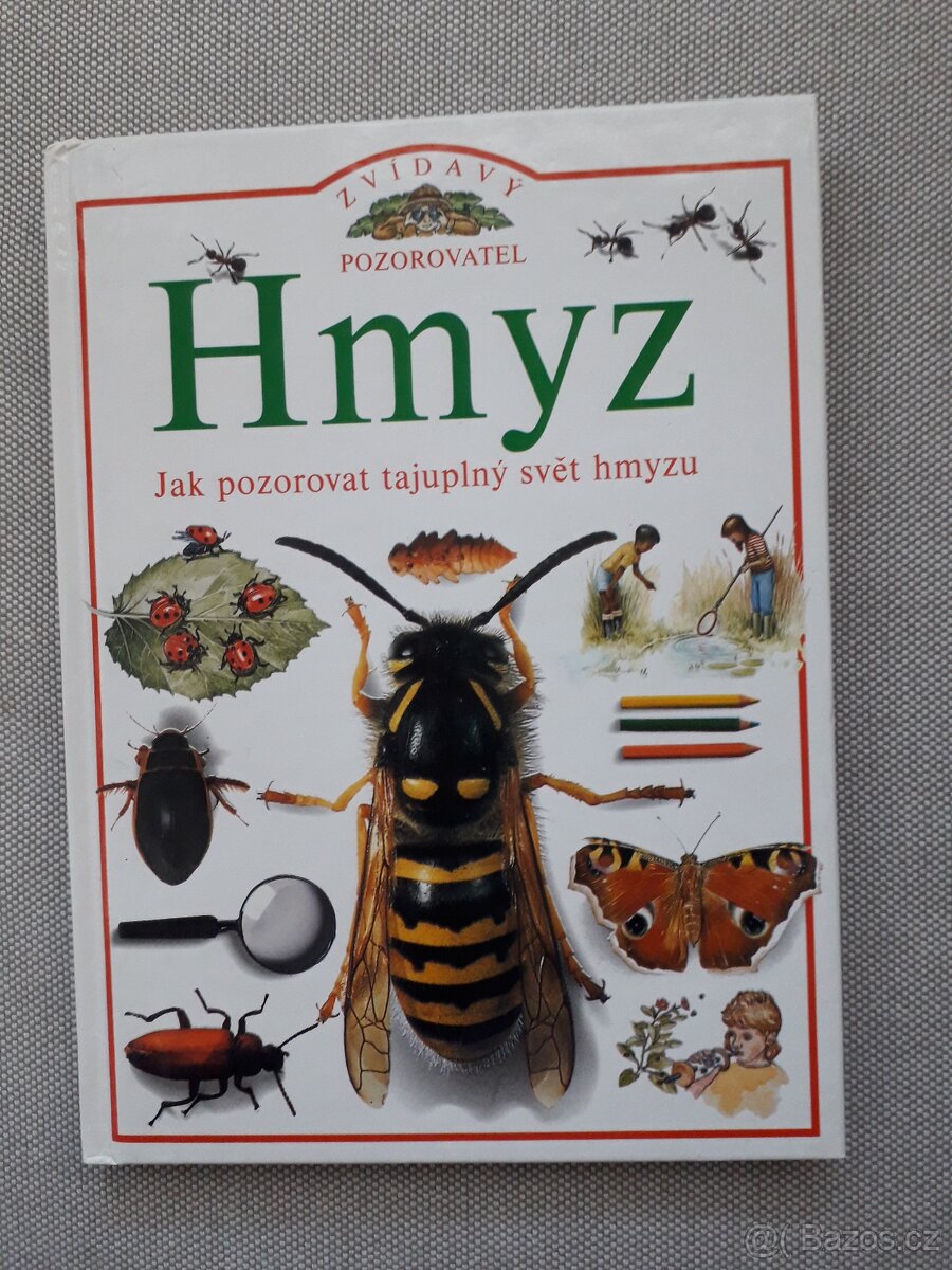 Zvídavý pozorovatel - Hmyz