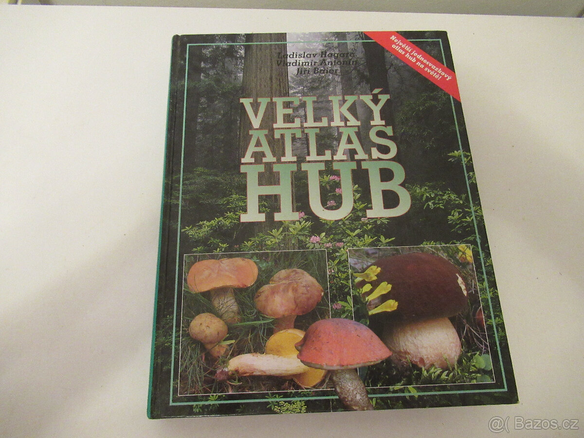 Velký atlas hub