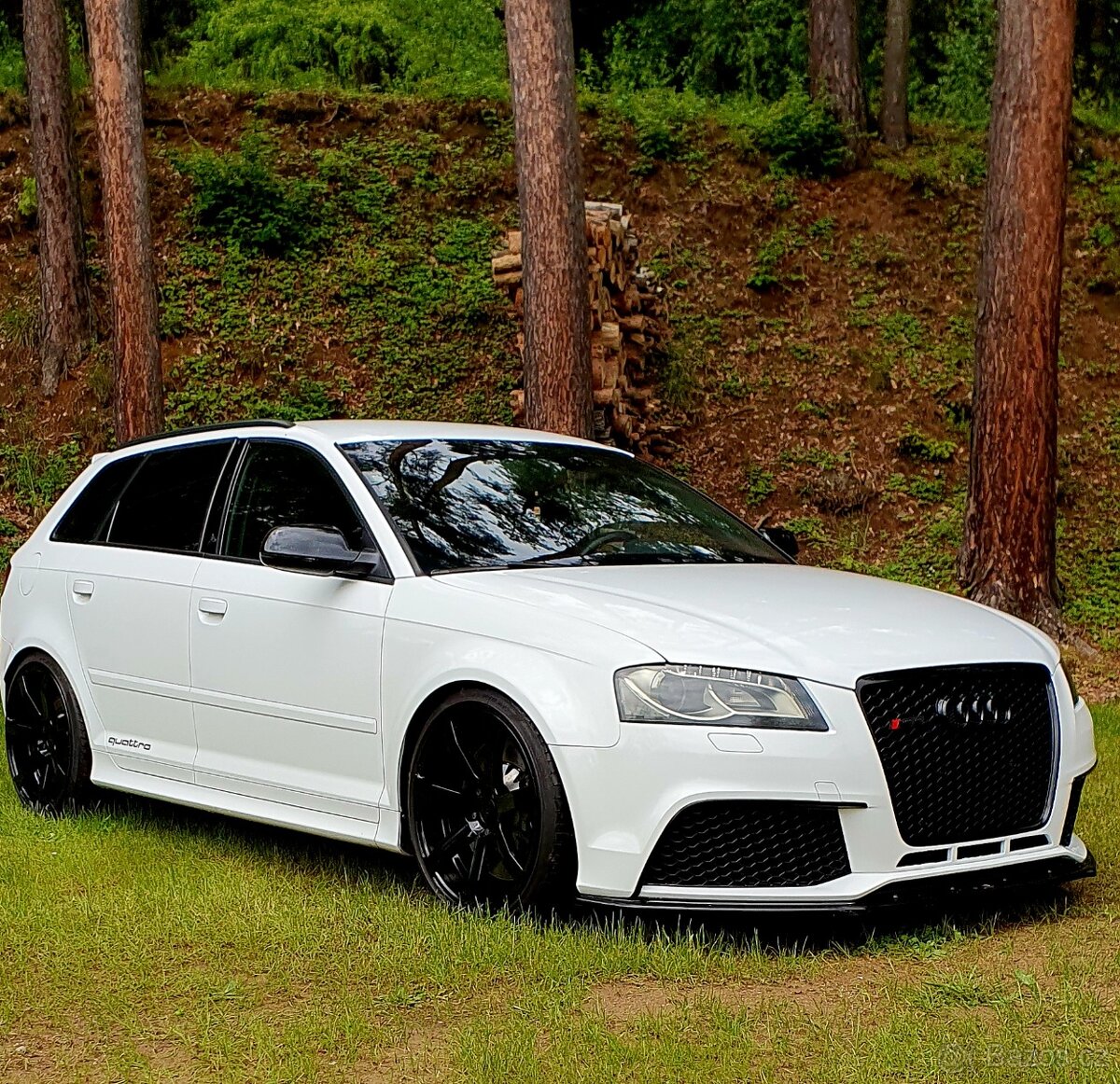 Rs3