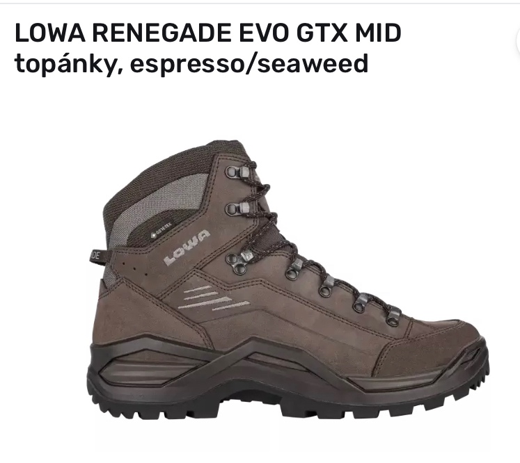 LOWA RENEGADE EVO GTX MID  46