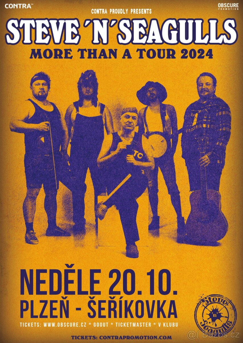 STEVE 'N' SEAGULLS