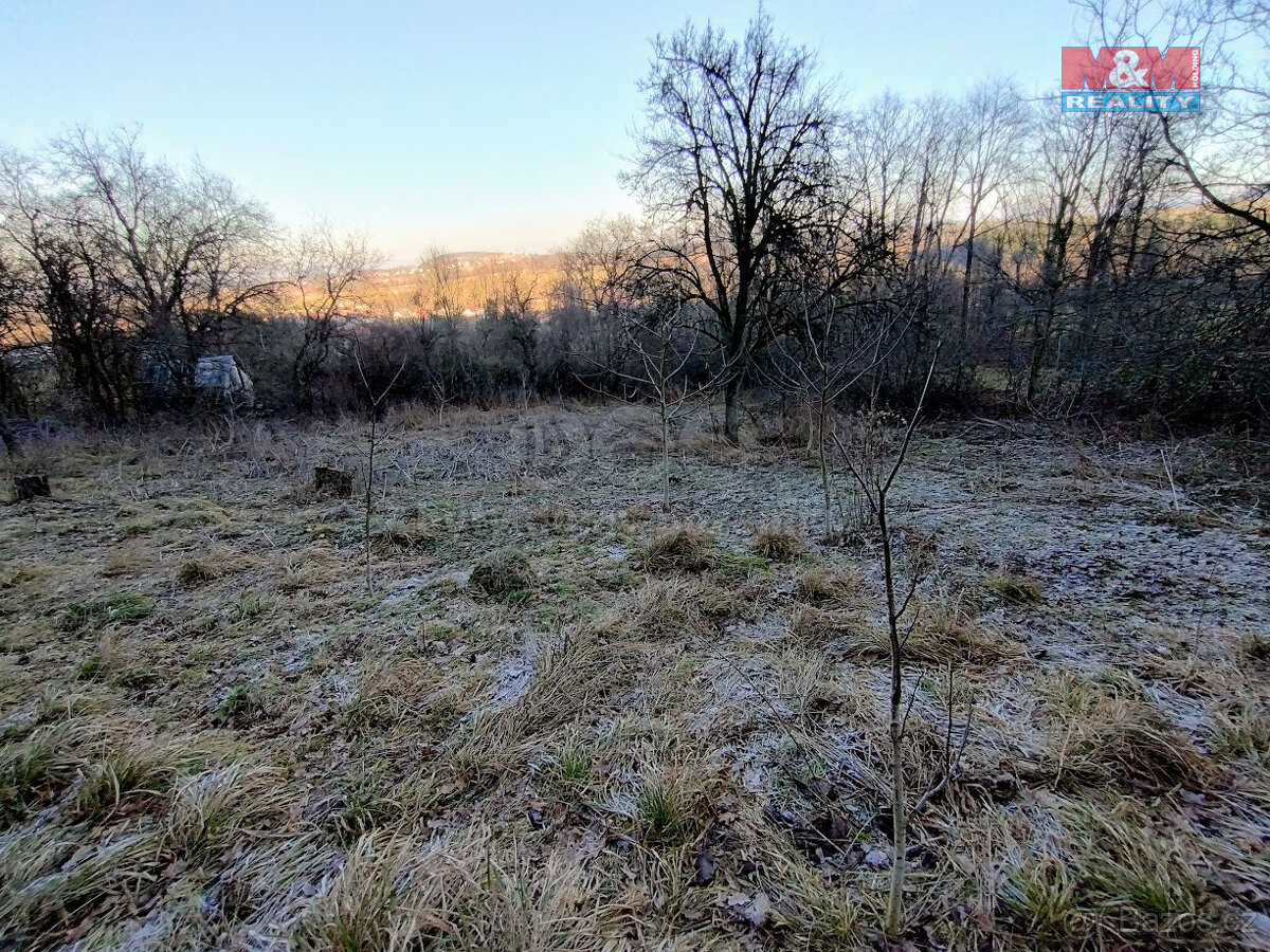 Prodej zahrady, 1436 m², Jeseník nad Odrou, Hůrka