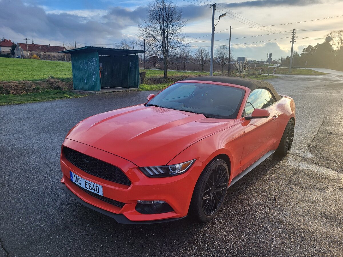 Ford Mustang zimní cena