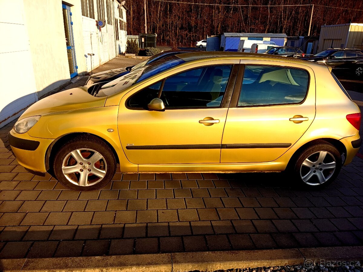 Peugeot 307 1.6 16v