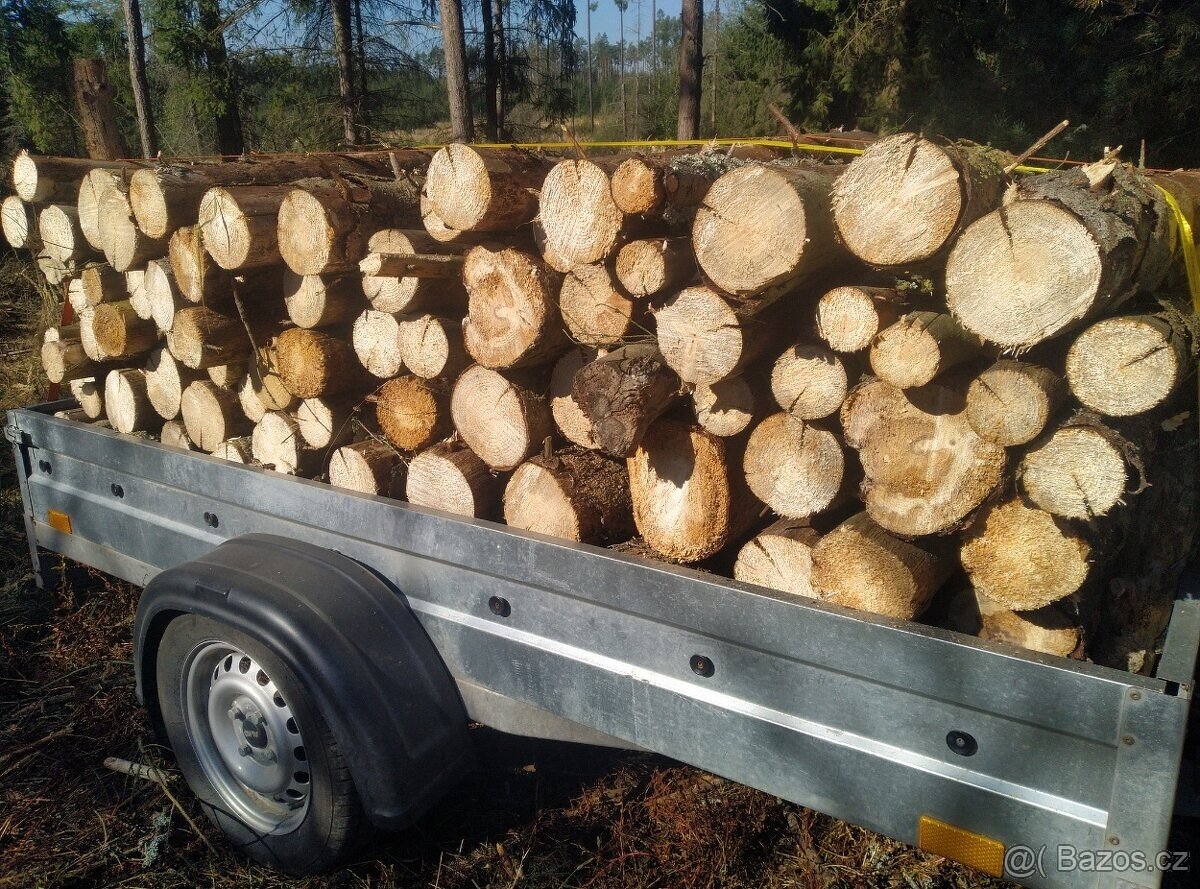 palivové dřevo borovice suché