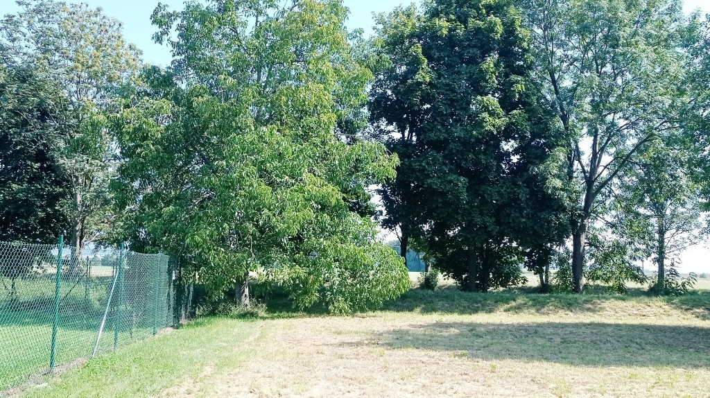 Pozemek 1.200 m2 zahrada, sport, výroba, služby