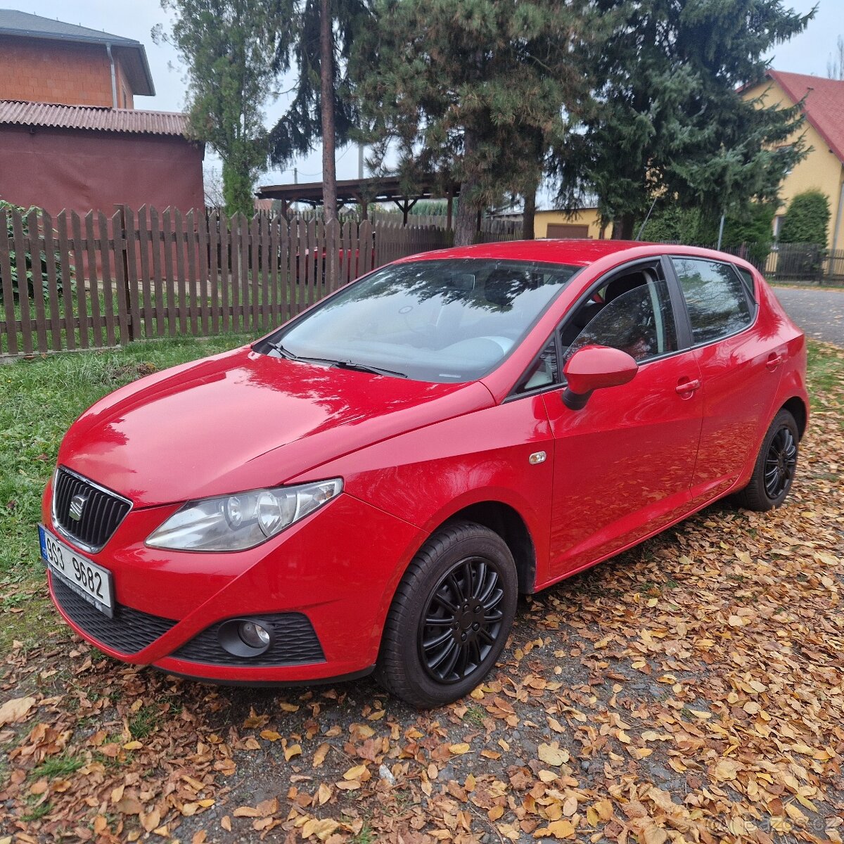 Seat ibiza 2010