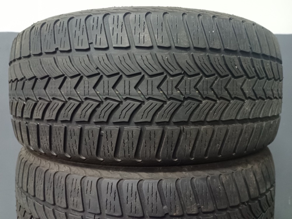 225/50 R17 DEBICA (2521)