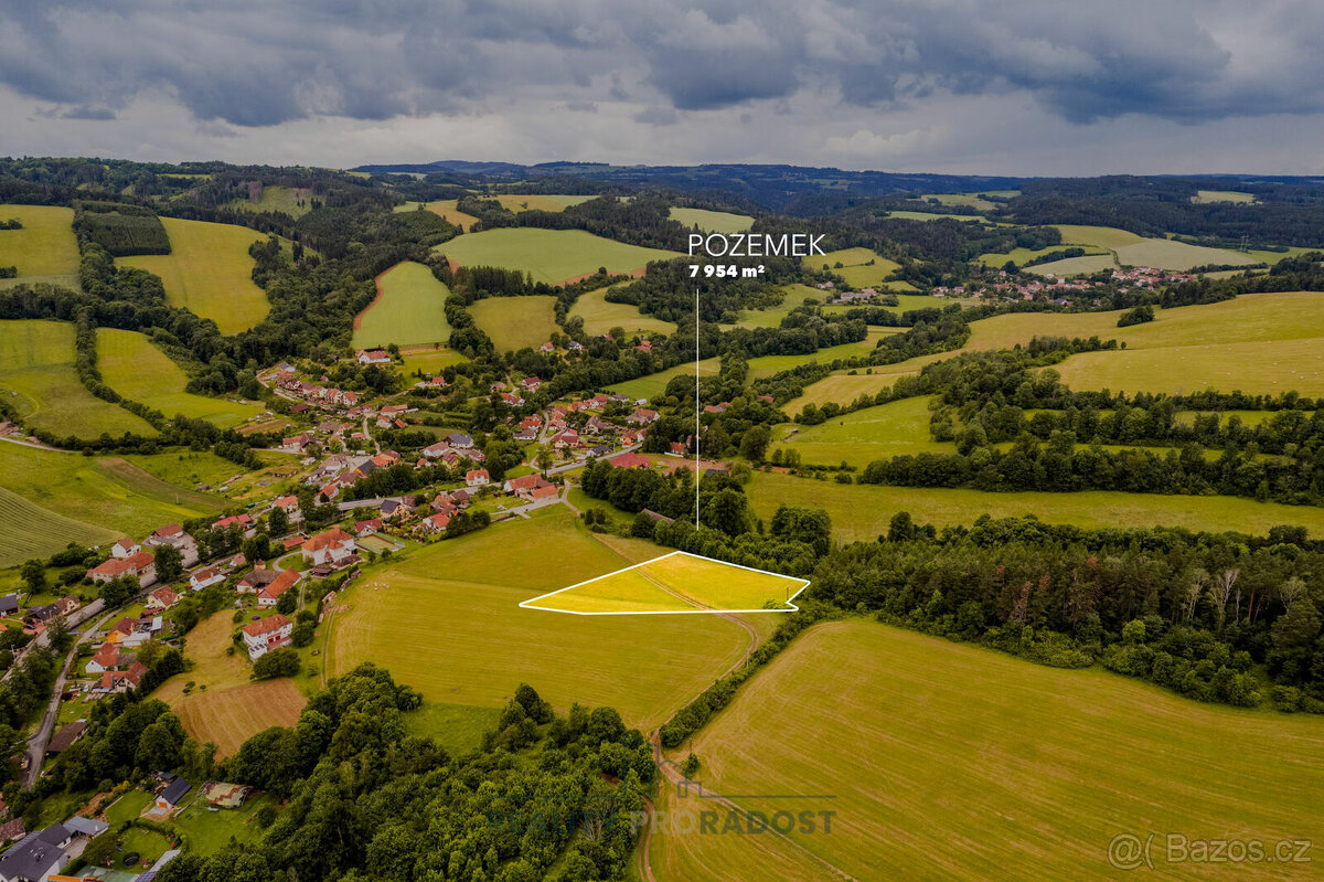 Prodej louky v Horním Poříčí 7 954 m²