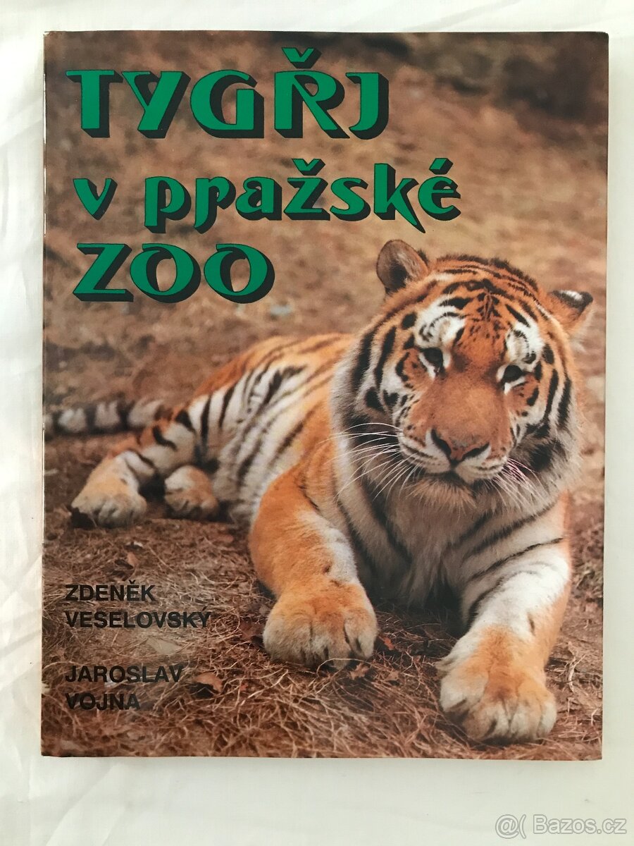 Tygři v pražské ZOO.