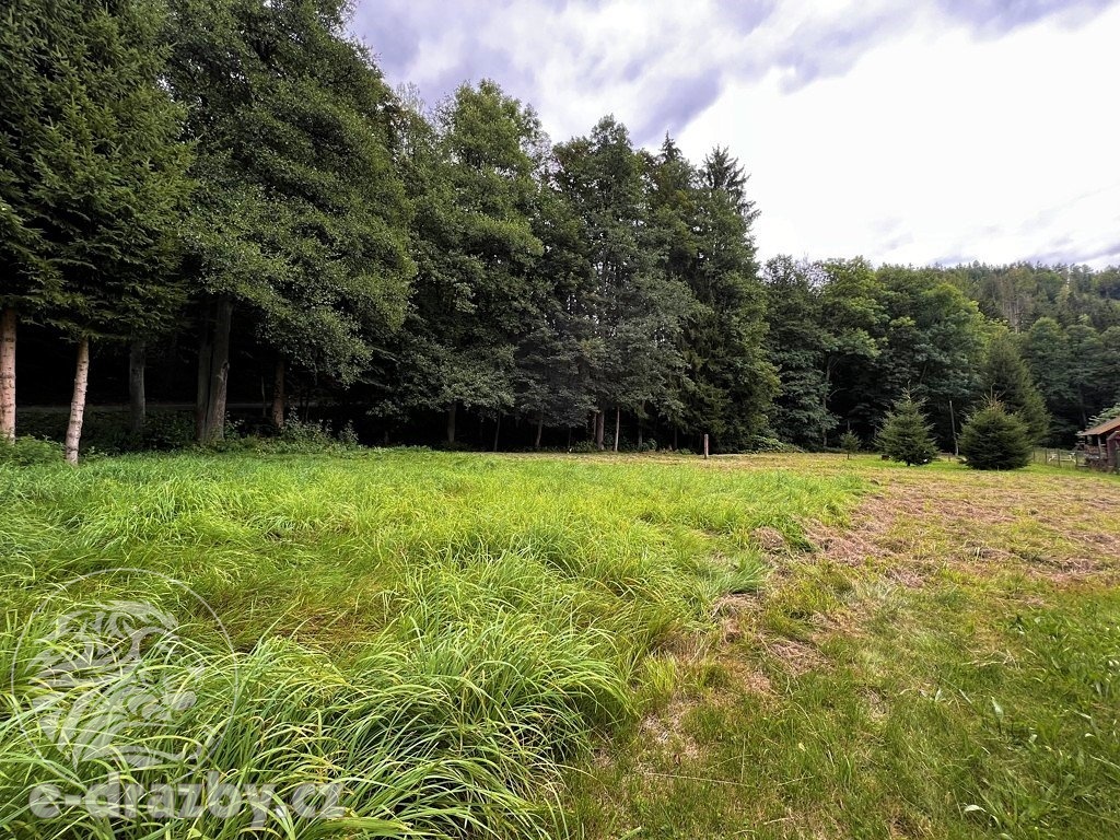 Pozemek (2.242 m2), Zlatá Olešnice, Jablonec nad Nisou