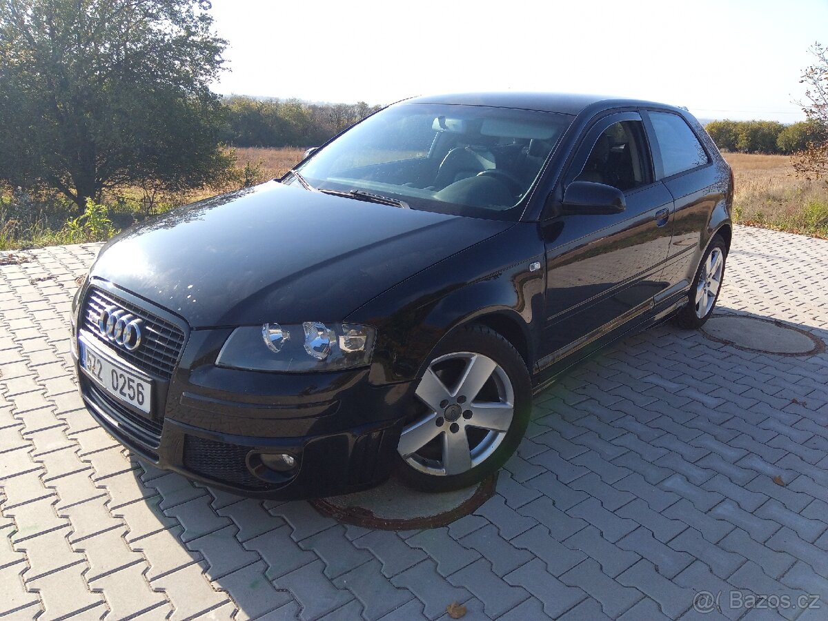 Audi a3 8p 1.9 TDI bez dpf