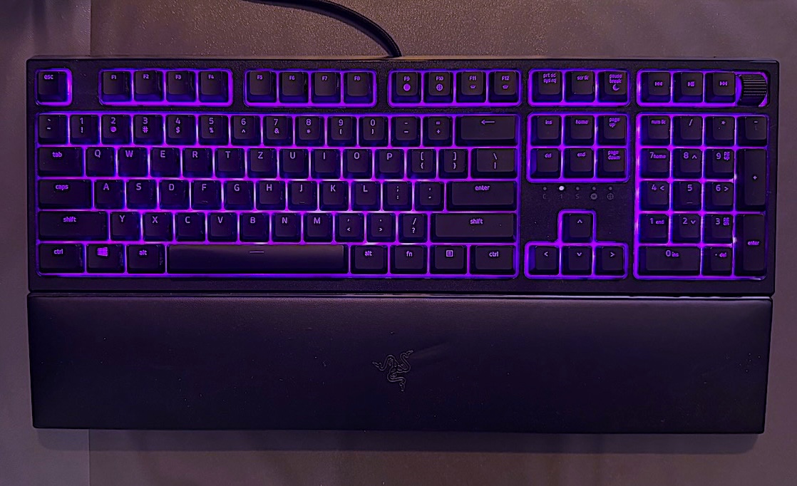 RAZER ORNATA v2 - TOP