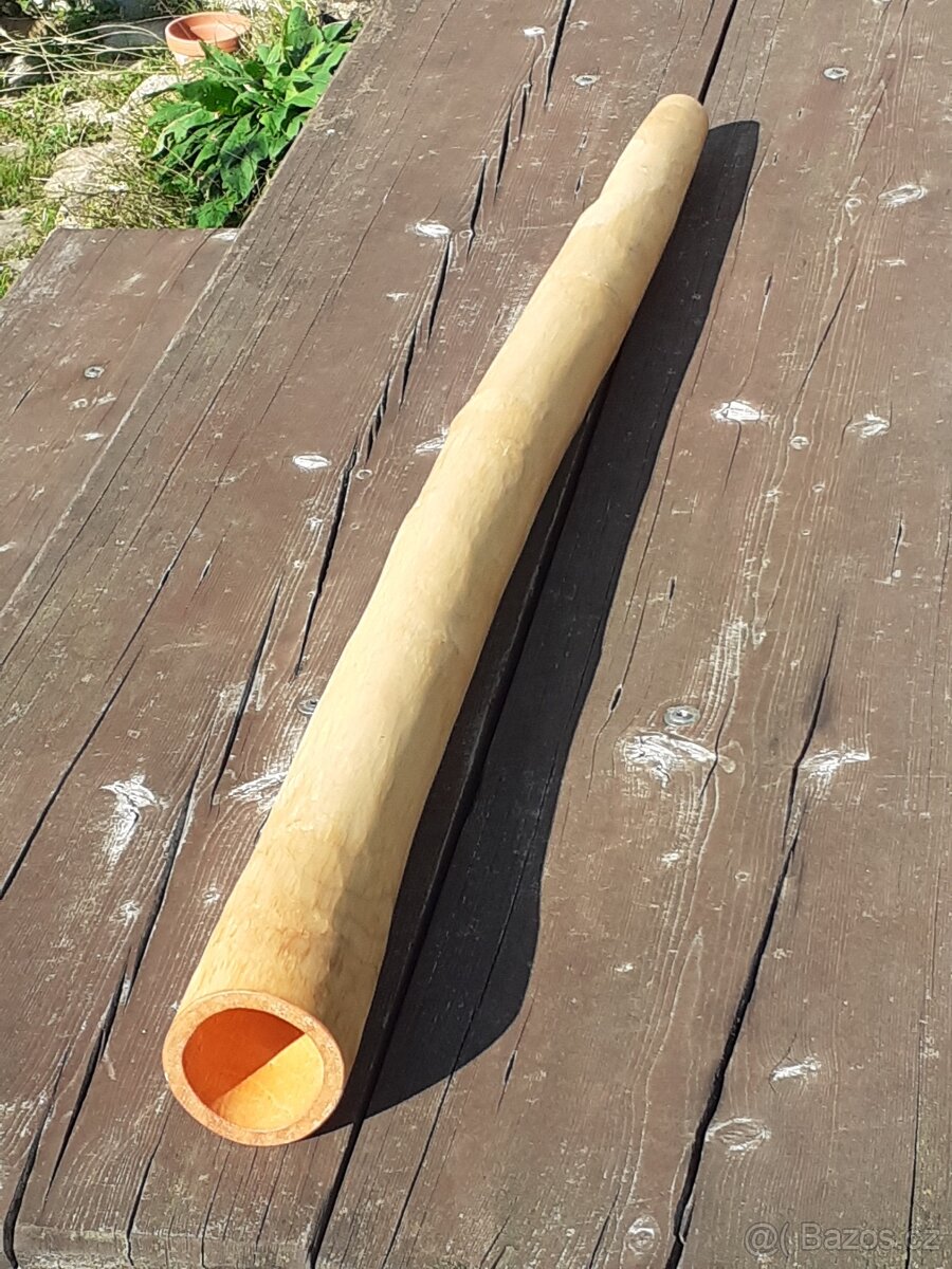 Didgeridoo 081