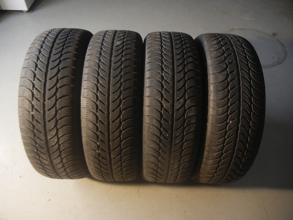 Zimní pneu Sava 195/65R15