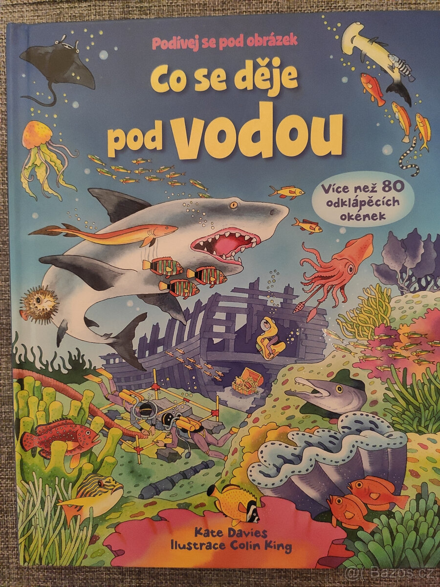 Co se děje pod vodou