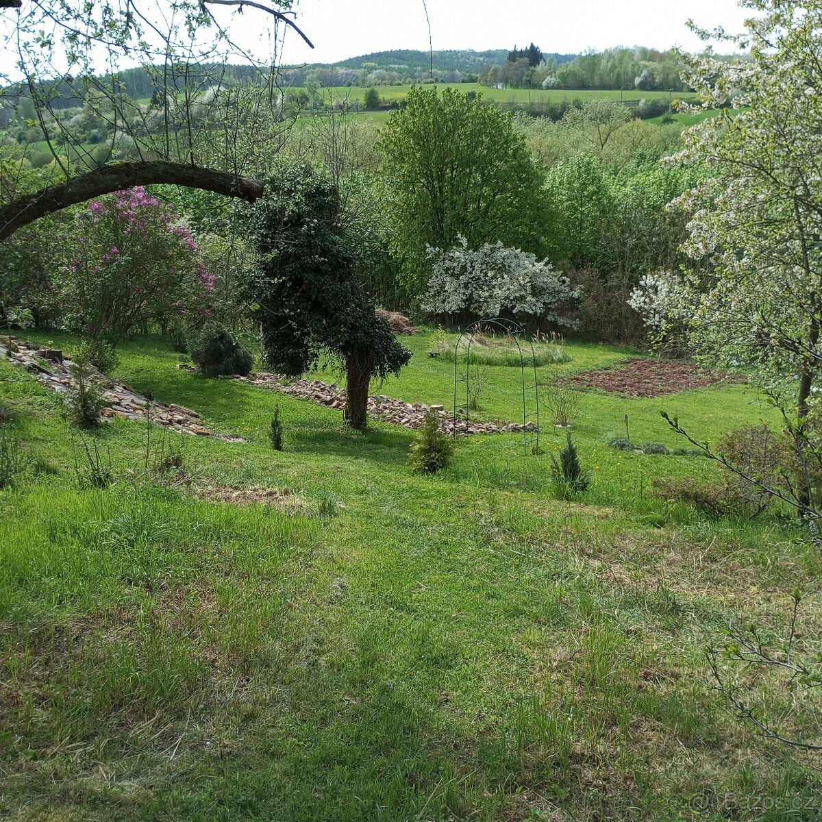 Rozlehlá 2450 m2 zahrada plná zeleně