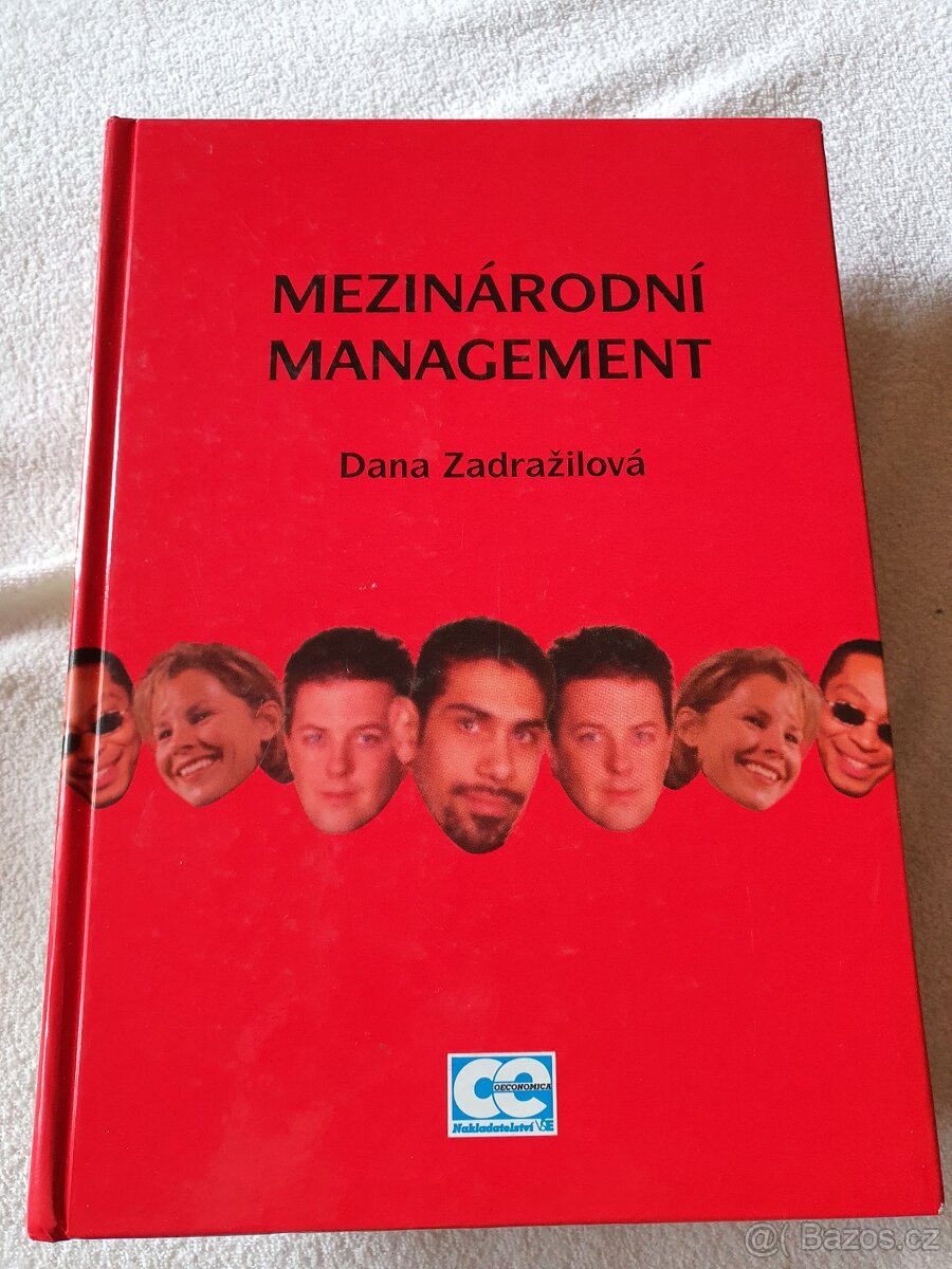 Mezinarodni management