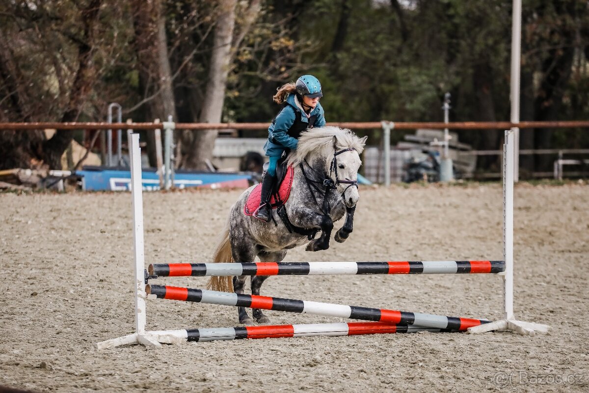 Predam sportovu pony S