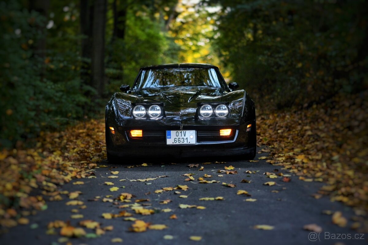 1980 Corvette C3 5.7l V8 Aut - Restomod