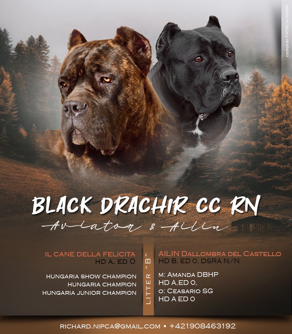 Cane Corso s PP šteniatka